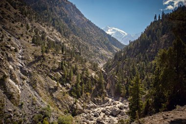 Nanga Parbat dağının zirvesi, Pakistan ana kamp yürüyüşü.
