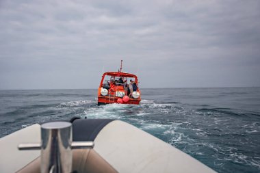 Portekiz, Albufeira 'da yunuslar izliyor