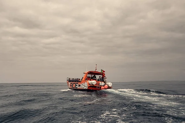 Portekiz, Albufeira 'da yunuslar izliyor