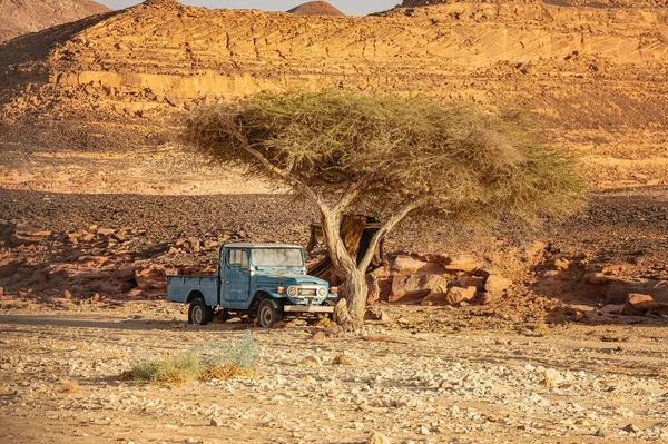 Старый Винтажный Брошенный Грузовик Toyota Пустыне Синай Египет — стоковое фото
