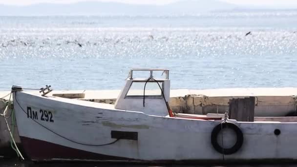 Traditionelle Fischerboote Entlang Der Küste Der Alten Stadt Nessebar Bulgarien — Stockvideo
