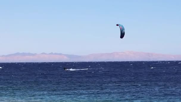 Surfista Cometa Cabalgando Las Olas Dahab Zona Del Faro Egipto — Vídeos de Stock