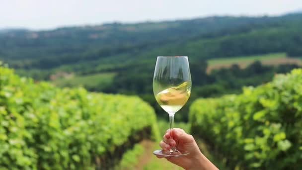 Bicchiere Vino Bianco Con Sfondo Vigneti — Video Stock