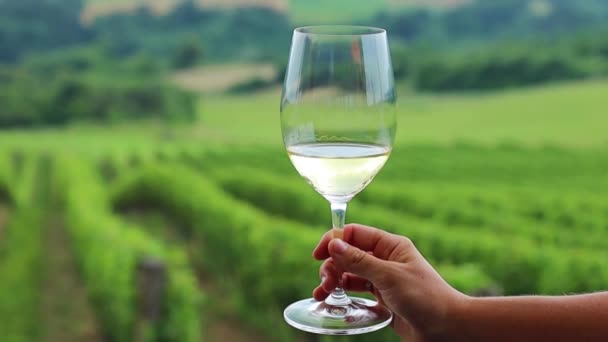 Verre Vin Blanc Avec Fond Vignes — Video