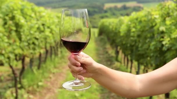 Bir Kadeh Kırmızı Şarap Yeşil Parlak Bir Üzüm Bağı — Stok video