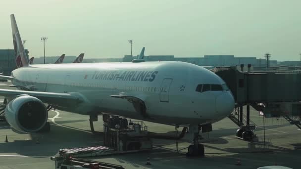 Turkish Airlines Flugzeug Auf Dem Istanbuler Flughafen Auf Dem Parkplatz — Stockvideo