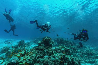 Dahab 'daki Kızıl Deniz' de dalgıçlar. Mısır 'da tüplü dalış