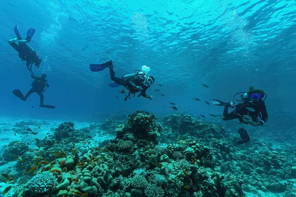 Dahab 'daki Kızıl Deniz' de dalgıçlar. Mısır 'da tüplü dalış