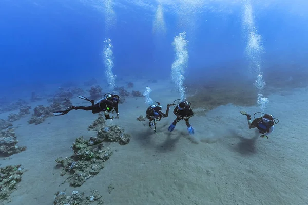 达哈布红海的潜水员埃及的Scuba潜水 — 图库照片