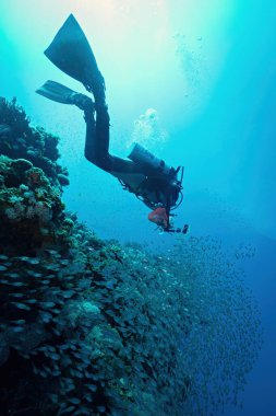 Dahab 'daki Kızıl Deniz' de dalgıçlar. Mısır 'da tüplü dalış