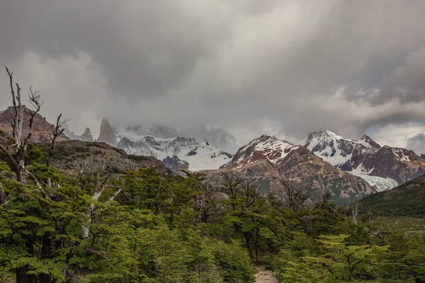Belle Nature Patagonie Trek Fitz Roy Vue Sur Les Montagnes — Photo