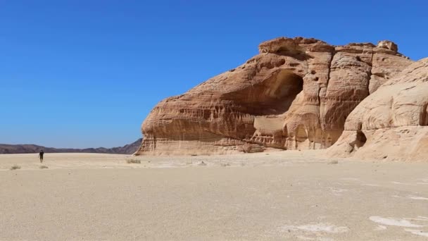 Гора Драконів Пустелі Сінай Єгипет — стокове відео