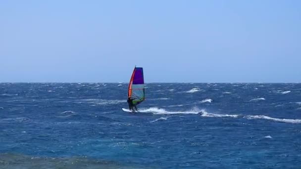 Wind Surfer Στο Νερό Στην Περιοχή Dahab Σινά Αίγυπτος — Αρχείο Βίντεο