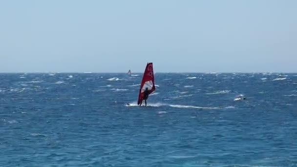 Surfista Viento Agua Área Dahab Sinaí Egipto — Vídeos de Stock