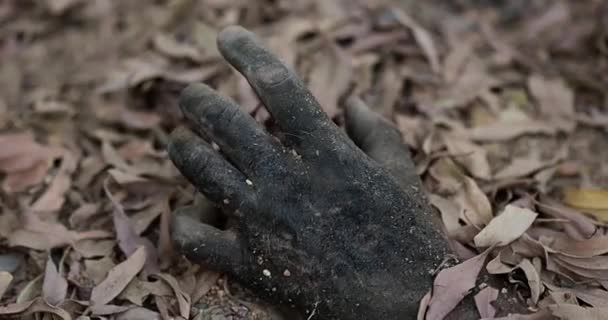 Halloween Brudne Zombie Ręka Wypełza Ziemi — Wideo stockowe