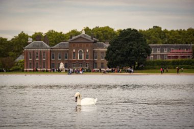 Kensington Sarayı ve parktaki kuğularla dolu gölet Londra Büyük Britanya 'nın sonbahar günü