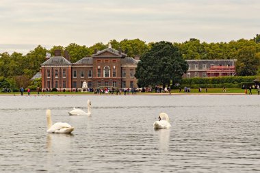 Kensington Sarayı ve parktaki kuğularla dolu gölet Londra Büyük Britanya 'nın sonbahar günü