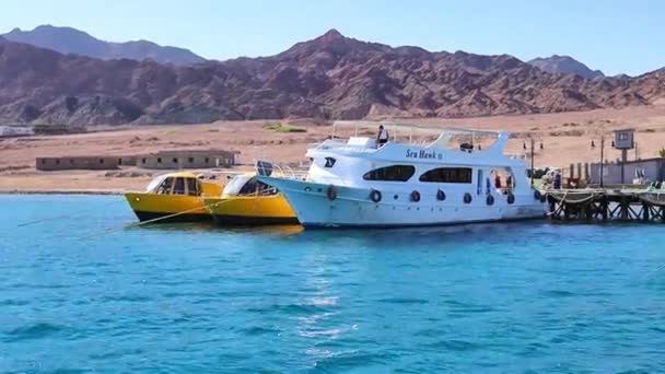 Dykning Yacht Röda Havet Dahab Egypten — Stockvideo