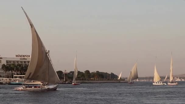 Traditionell Felucca Segelbåt Nilen Vid Solnedgången Aswan Egypten — Stockvideo