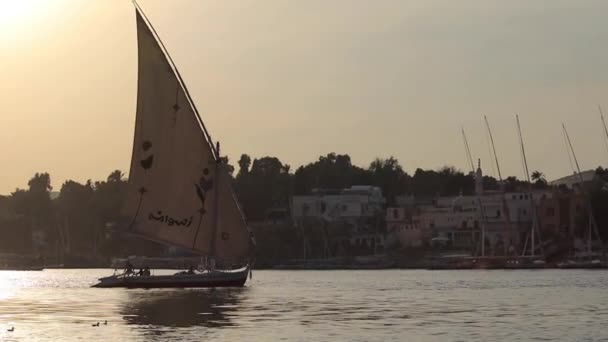 Traditionelles Felucca Segelboot Auf Dem Nil Bei Sonnenuntergang Assuan Ägypten — Stockvideo