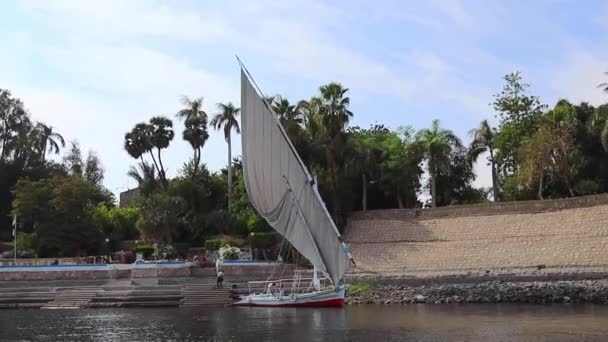 Velero Tradicional Felucca Nilo Atardecer Asuán Egipto — Vídeo de stock