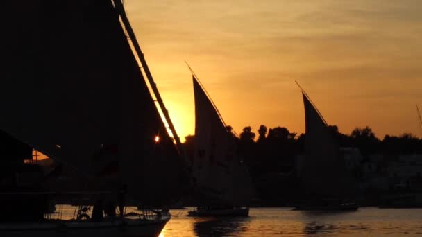 Günbatımında Nil Geleneksel Felucca Yelkenlisi Aswan Mısır — Stok video