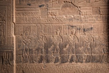 Aswan 'ın yukarısındaki the Philadelphia Temple' da taş duvar oyması.