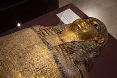 Aswan 'daki Nubian Müzesi' nde antik lahit koleksiyonu.