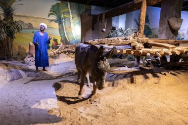 Yukarı Mısır 'daki Nubian Müzesi Sergi Salonu