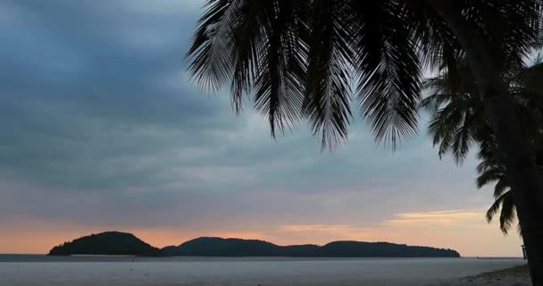 Парадизе Пустой Белый Песчаный Пляж Пальмами Закате Лангкави Малайзия — стоковое видео