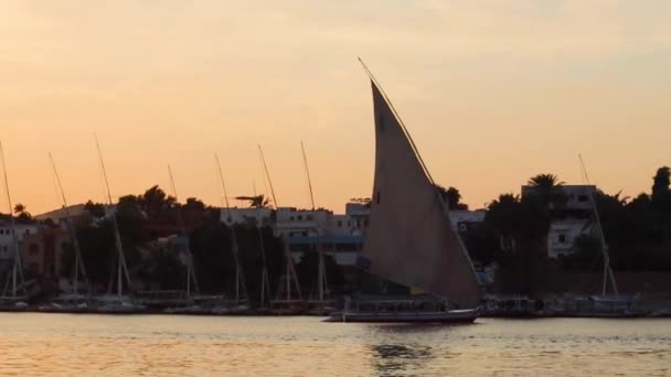 Tradiční Felucca Plachetnice Nilu Při Západu Slunce Aswan Egypt — Stock video