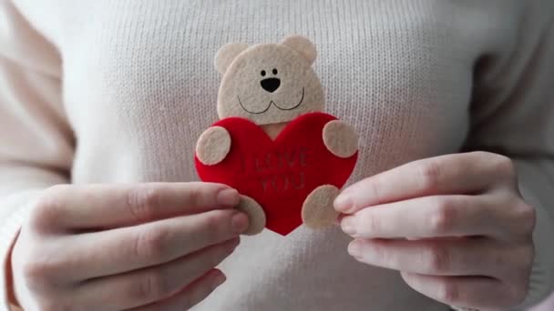 Mały Słodkie Czuł Niedźwiedź Trzymając Czerwone Serce Kobiecych Rękach Zamknąć — Wideo stockowe