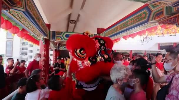 Lion Dance Performance Στον Κινέζικο Ναό Στην Chinatown Kuala Lumpur — Αρχείο Βίντεο