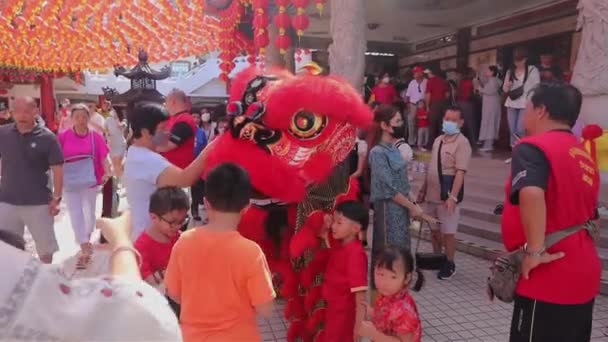 Lion Dance Performance Στον Κινέζικο Ναό Στην Chinatown Kuala Lumpur — Αρχείο Βίντεο