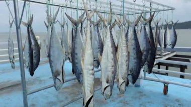 Balıkçı köyü Borneo Malezya 'da güneşte kurutulmuş balık