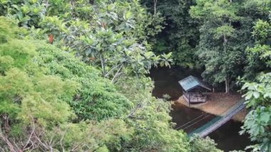 Borneo Yağmur Ormanları Keşif Merkezi Sabah Borneo Malezya 'daki gölde güzel evler