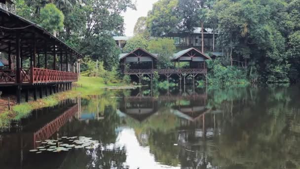 Красиві Будинки Озері Борнео Центр Відкриття Тропічних Лісів Сабах Борнео — стокове відео