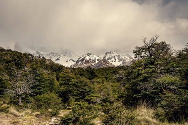 Patagonya 'nın güzel doğası. Fitz Roy Trek, And Dağları manzarası, Los Glaciers Ulusal Parkı, El Chalten, Arjantin
