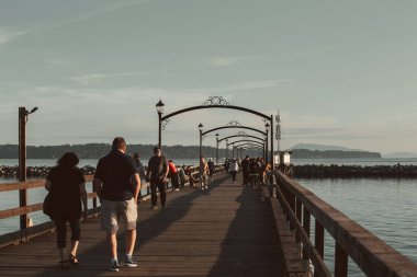 Beyaz Kaya 'da eski ahşap asma köprü, Güney Surrey, Kanada