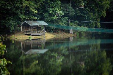 Borneo yağmur ormanlarının güzel doğası gölün üzerindeki asma köprü ve ahşap kulübe Sandakan Malezya