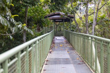 Yağmur Ormanları Koruma Merkezi Borneo Malezya 'daki asma köprü
