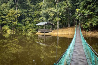 Borneo yağmur ormanlarının güzel doğası gölün üzerindeki asma köprü ve ahşap kulübe Sandakan Malezya