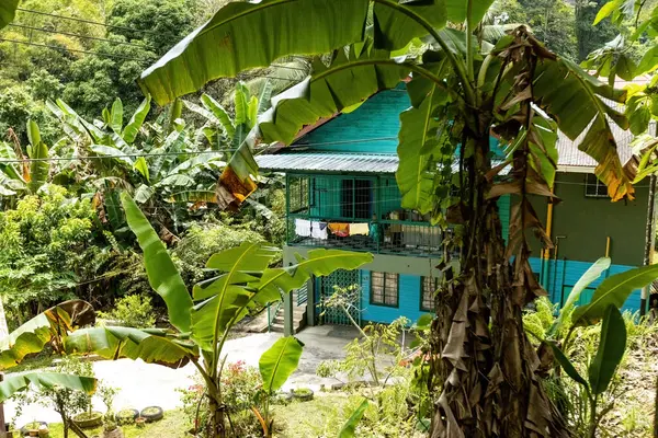 Sandakan Sabah Borneo Malezya 'daki geleneksel Malezya evi