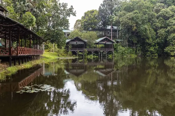 stock image Beautiful houses on the lake in Borneo Rainforest Discovery Center Sabah Borneo Malaysia