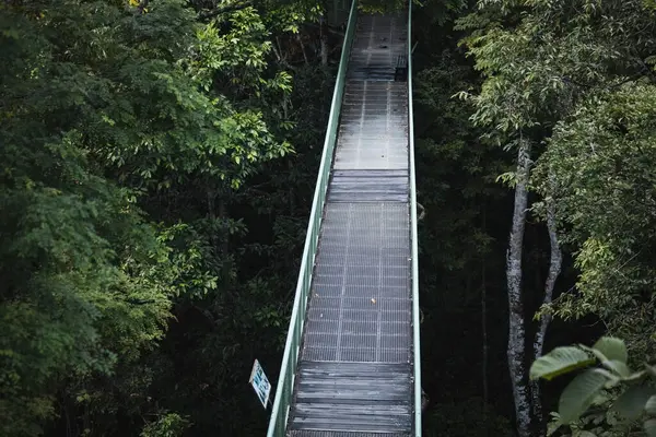 stock image Suspension bridge in the Rainforest conservation center Borneo Malaysia