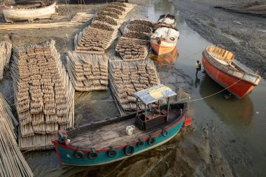 Cox 's Bazar Bangladeş' teki Inani Sahili 'nde bambu taşımacılığı