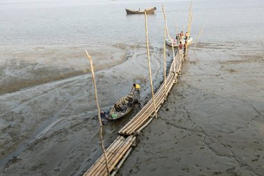 Cox 's Bazar Bangladeş' teki Inani Sahili 'nde bambu taşımacılığı