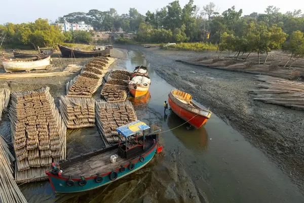 Cox 's Bazar Bangladeş' teki Inani Sahili 'nde bambu taşımacılığı
