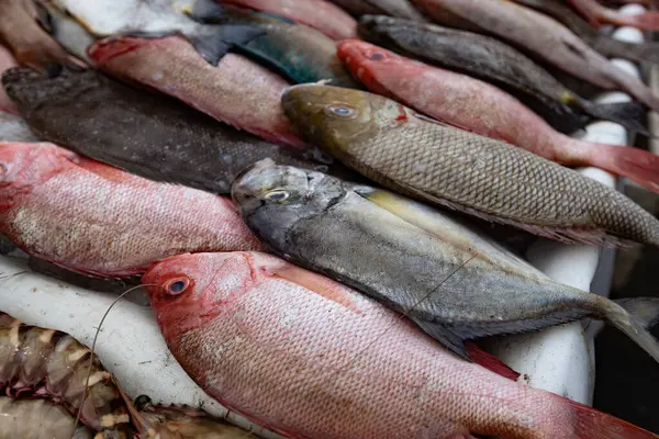 stock image Fish market counter in Kota Kinabalu Borneo Malaysia