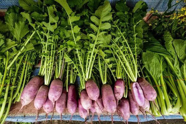 stock image Purple daikon on the market counter in Malaysia